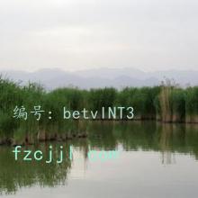 ȫ
